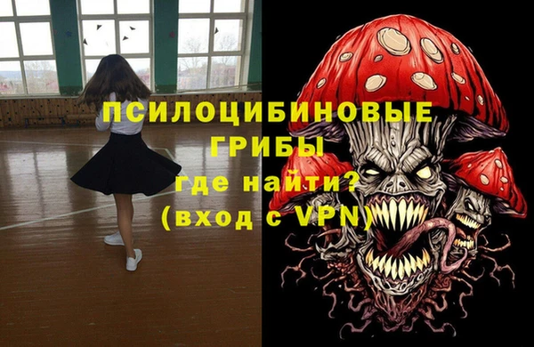 первитин Нея