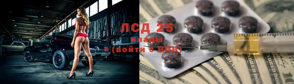 PSILOCYBIN Нефтегорск