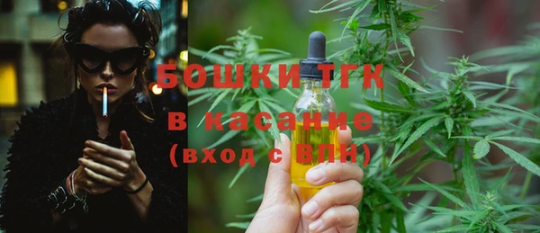 индика Нефтекумск