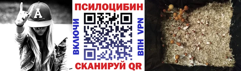 наркошоп  Чекалин  Псилоцибиновые грибы мухоморы 